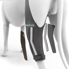 Load image into Gallery viewer, Dog Immobilizer Brace for Cruciate Ligament / Knee - by OrtoCanis