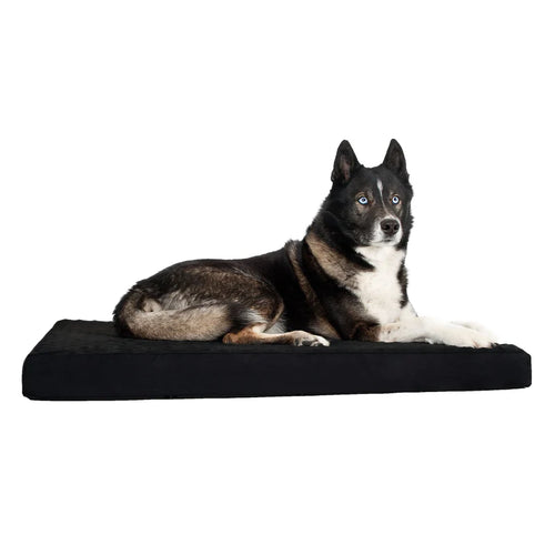 Memory Foam Dog Bed